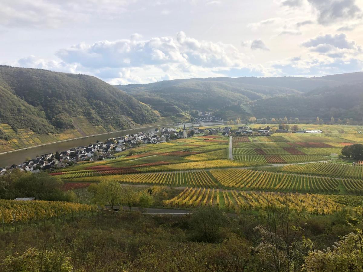 Ferienwohnung Probst Ellenz-Poltersdorf Buitenkant foto